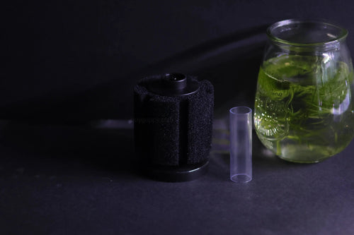 Sponge Filter (Up to 20 gallon)
