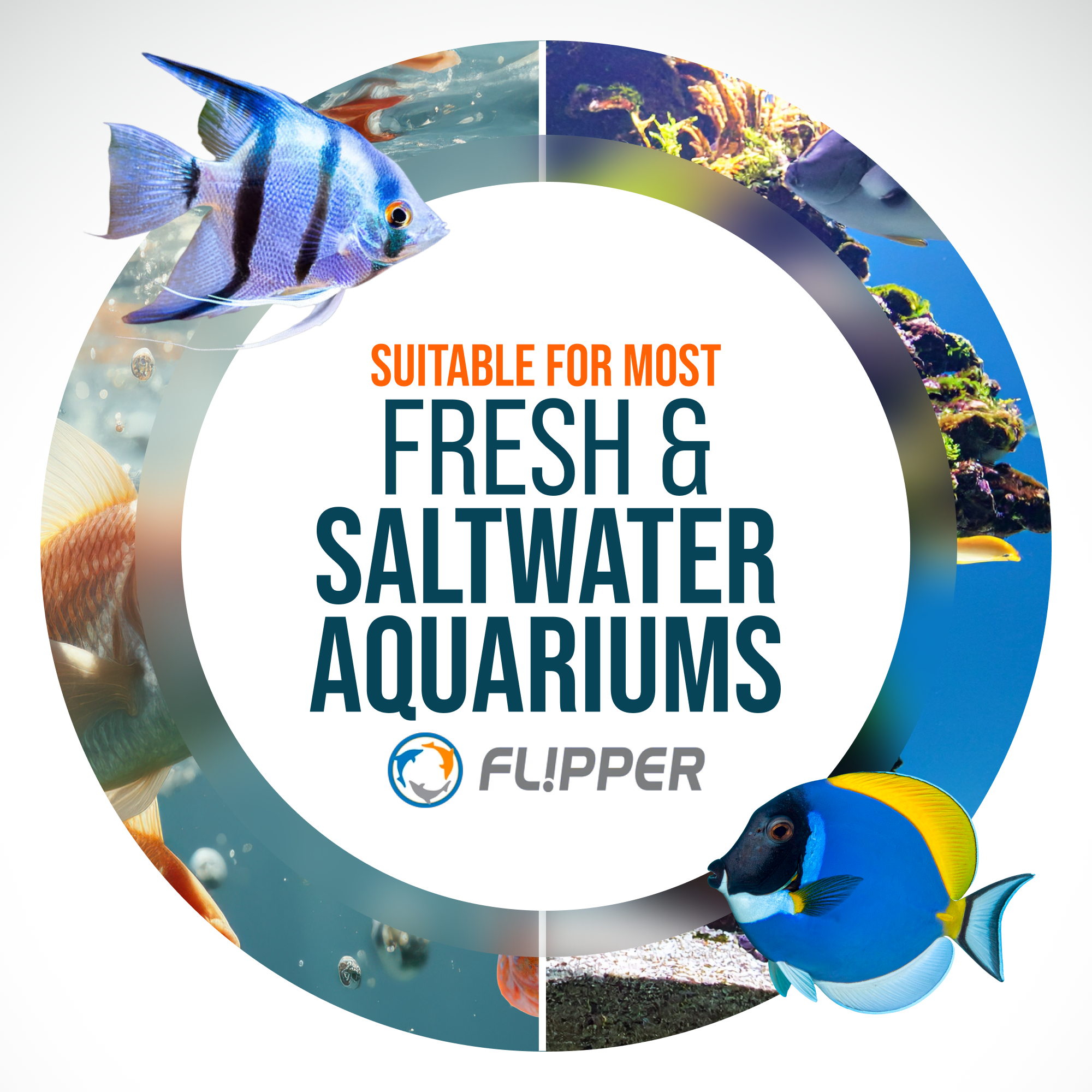 Flipper FLOAT 2 in 1 Magnetic Aquarium Algae Cleaner (Standard)