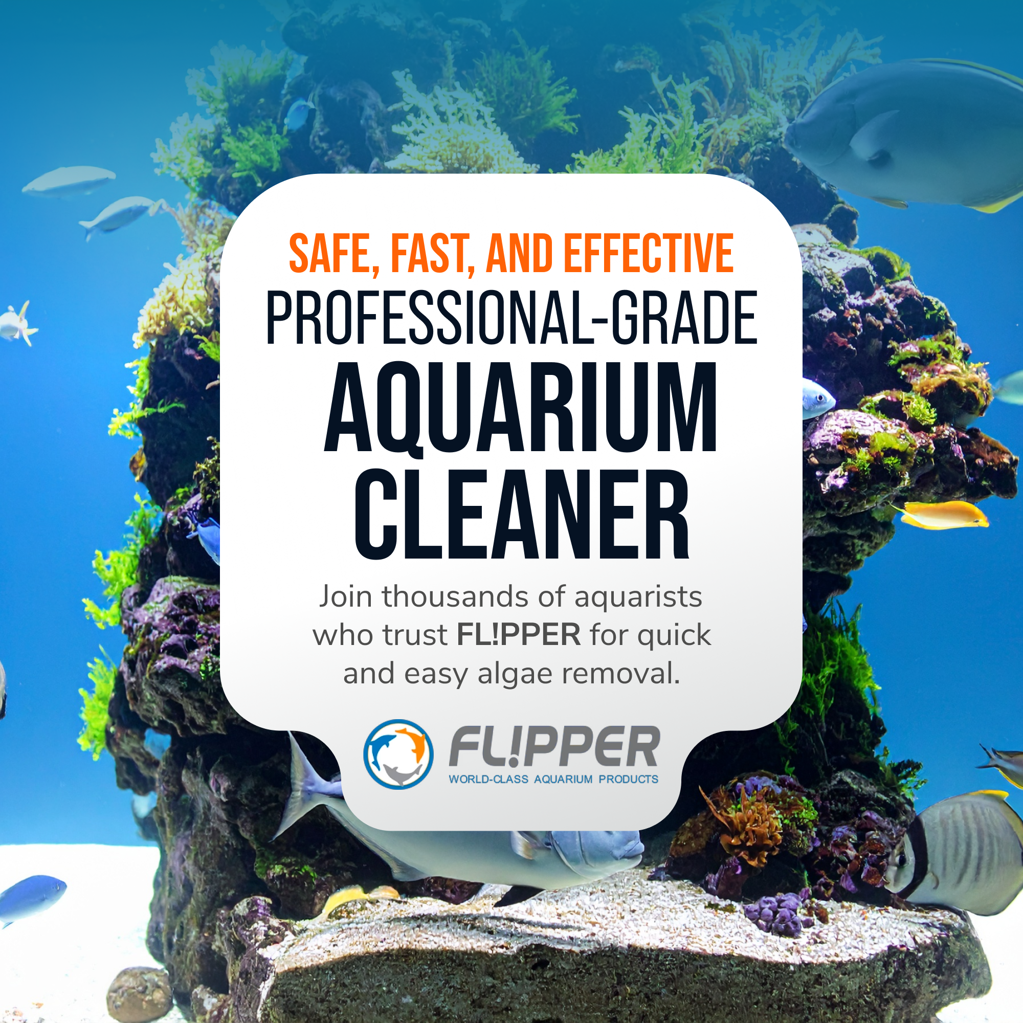 Flipper FLOAT 2 in 1 Magnetic Aquarium Algae Cleaner (Standard)