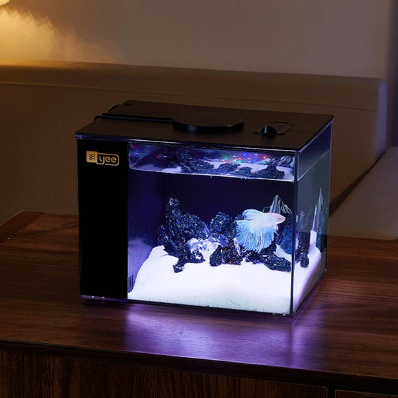 Compact Acrylic Desktop Aquarium Kit with LED Light & Filter — 0.5 or 1.2 Gallon