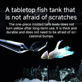 Compact Acrylic Desktop Aquarium Kit with LED Light & Filter — 0.5 or 1.2 Gallon