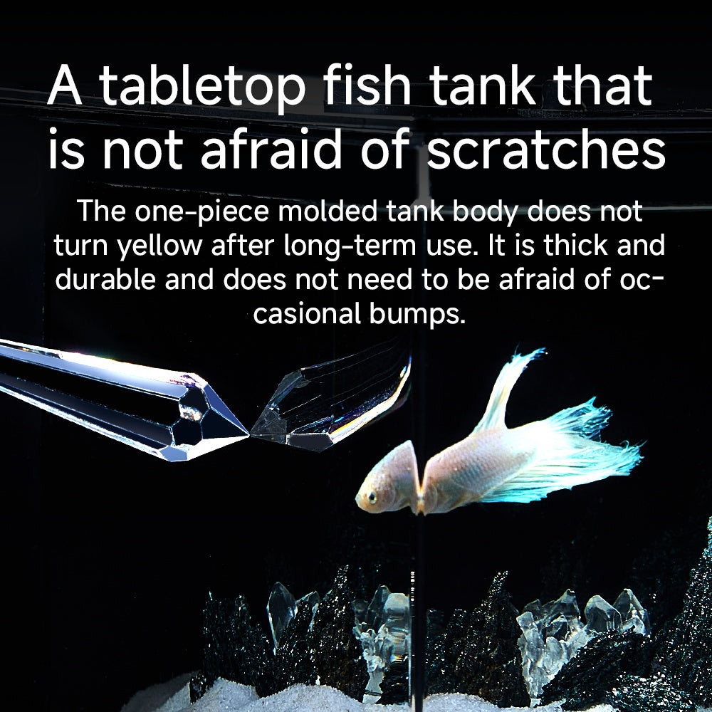 Compact Acrylic Desktop Aquarium Kit with LED Light & Filter — 0.5 or 1.2 Gallon