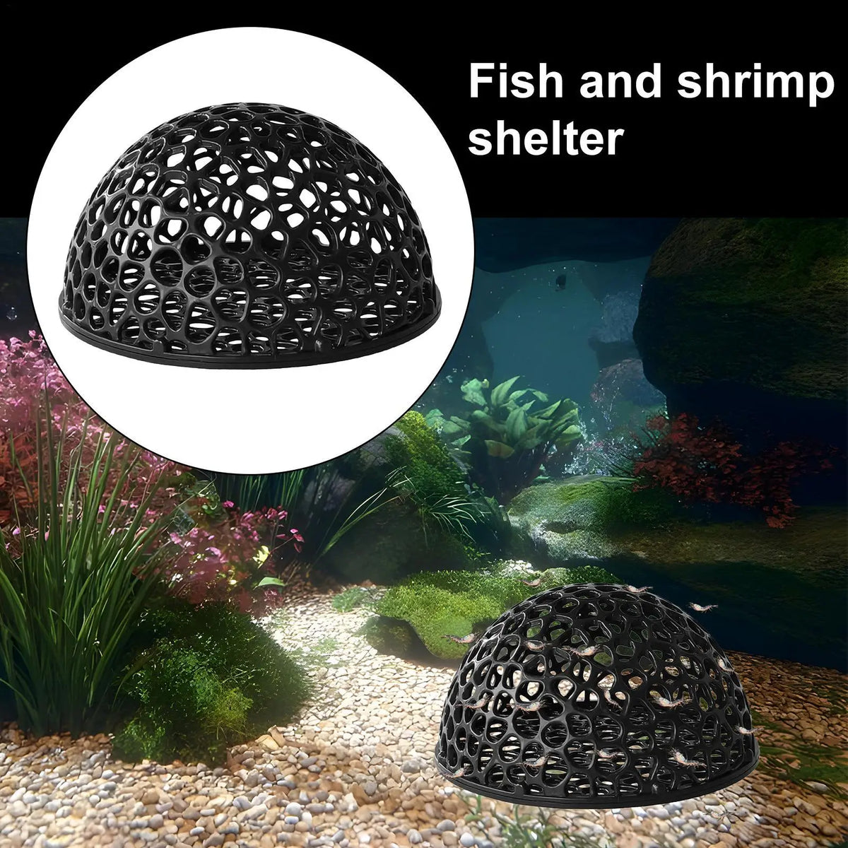 Perforated Shrimp Shelter Dome - Black Aquarium Hide