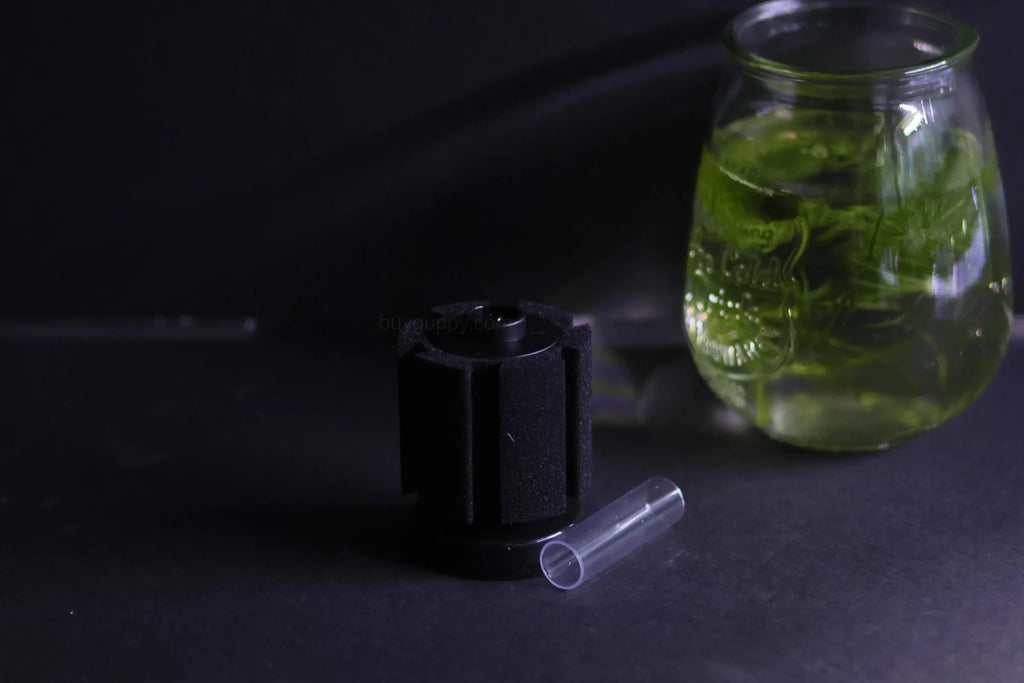 Sponge Filter (Up to 10 Gallon Aquarium)