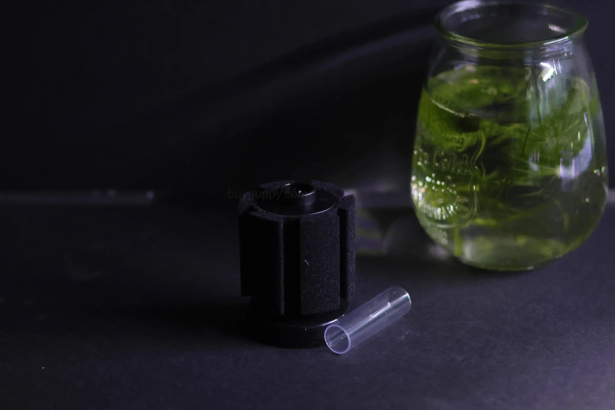 Sponge Filter (Up to 10 Gallon Aquarium)