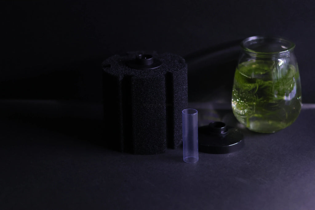 Sponge Filter (Up to 60 gallons) – gallery view 2