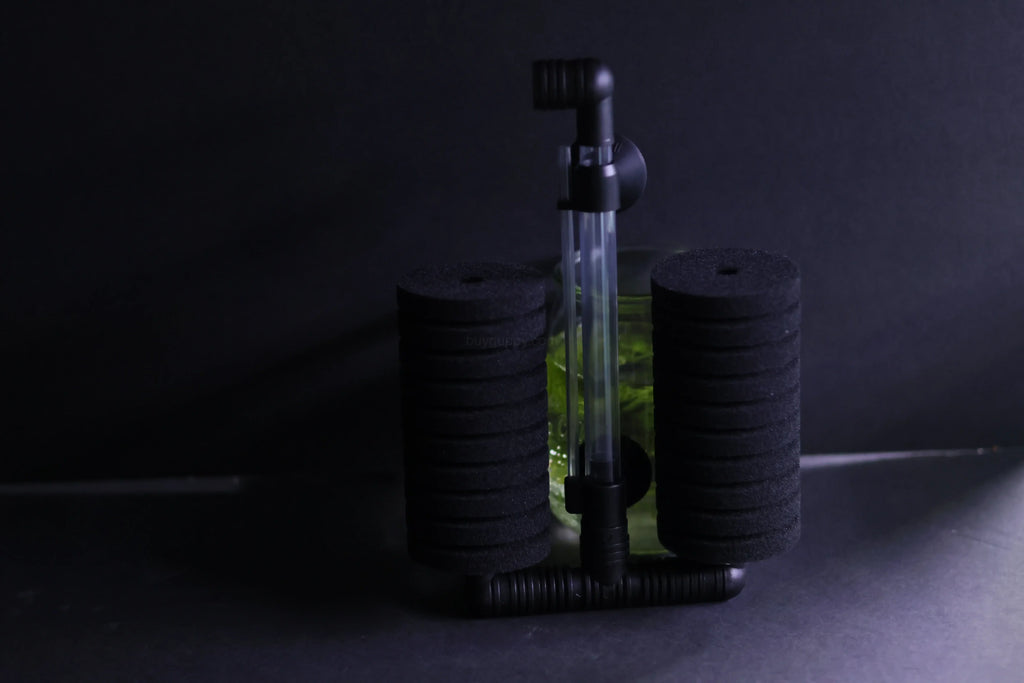 Dual Sponge Filter (Up to 55 Gallon Aquariums) – gallery view 8