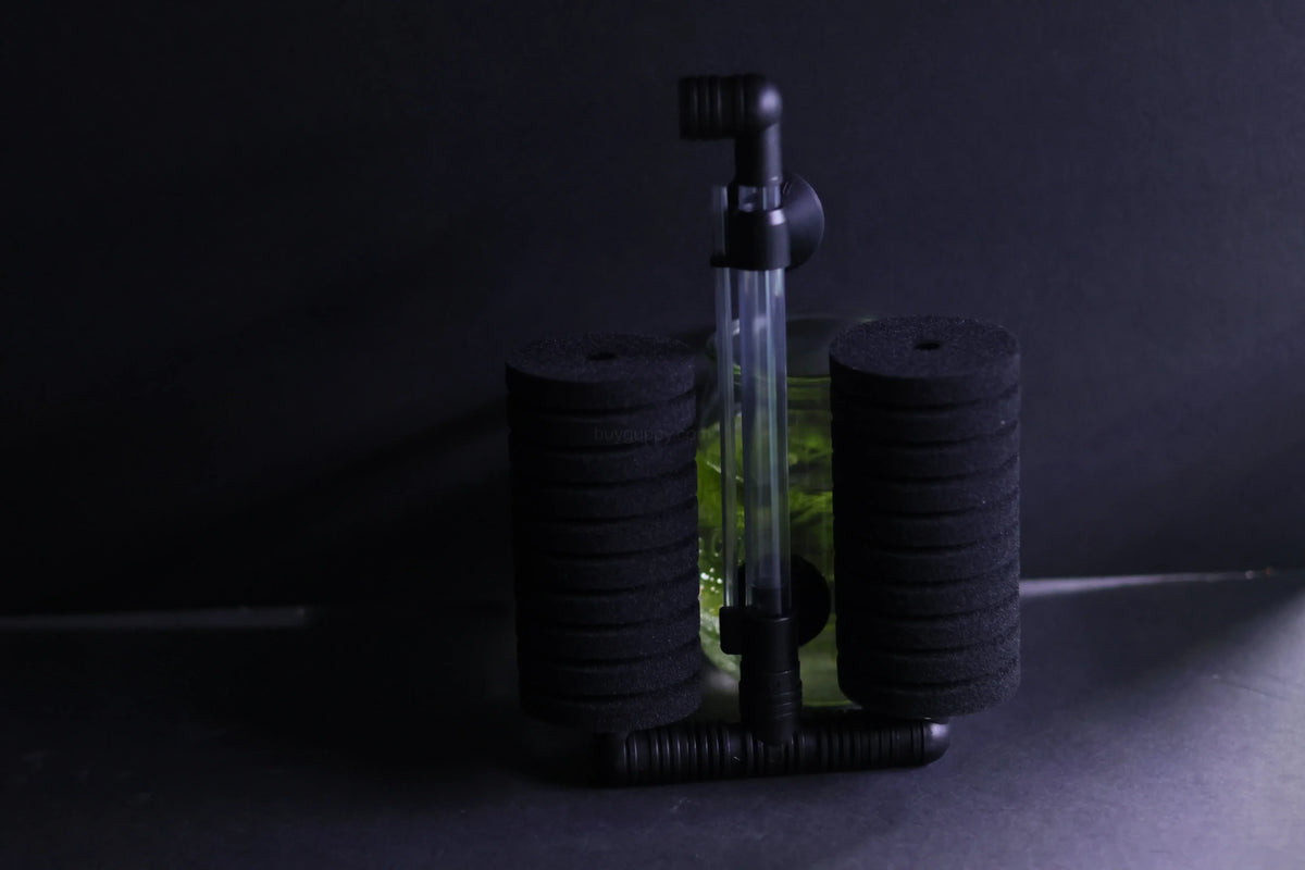 Dual Sponge Filter (Up to 55 Gallon Aquariums) – gallery view 8