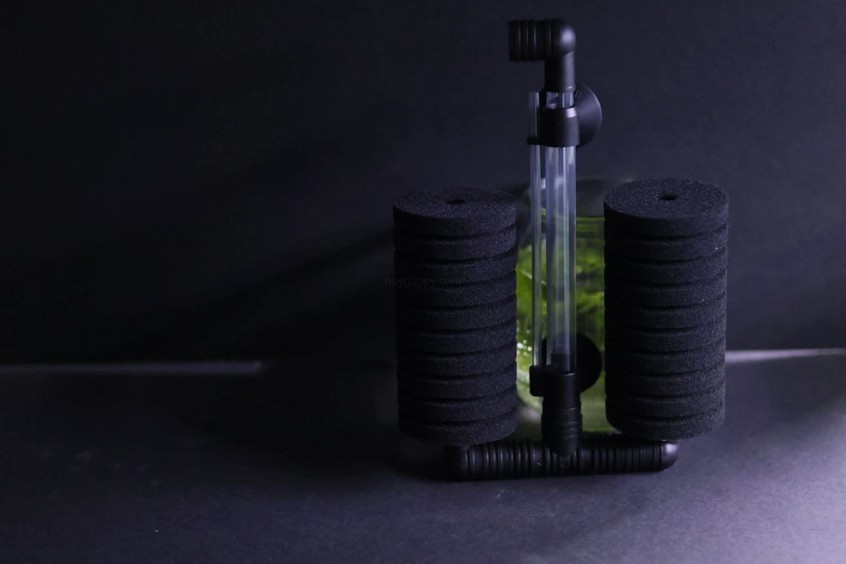 Dual Sponge Filter (Up to 55 Gallon Aquariums) – gallery view 2