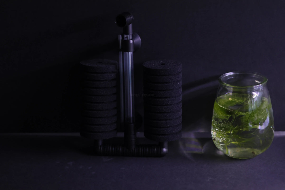 Dual Sponge Filter (Up to 55 Gallon Aquariums) – gallery view 3