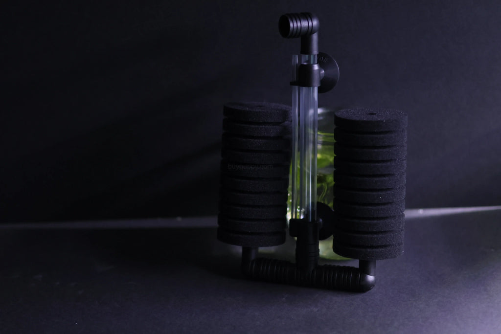 Dual Sponge Filter (Up to 55 Gallon Aquariums) – gallery view 6